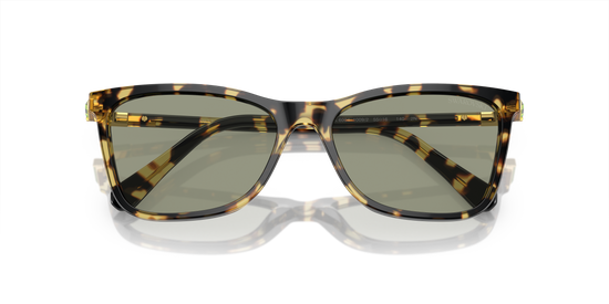 Swarovski Sunglasses SK6004 1009/2