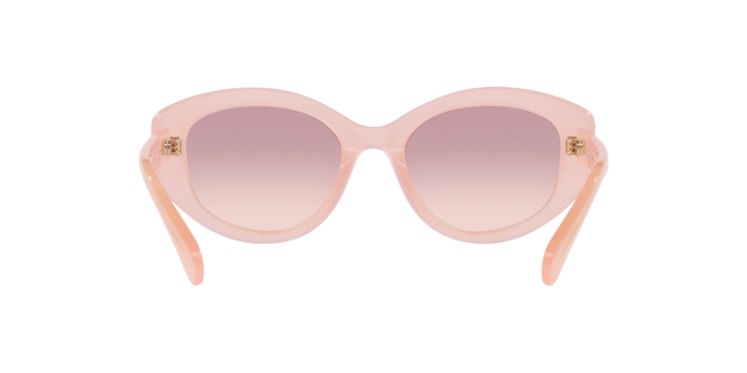 Swarovski Sunglasses SK6005 102568