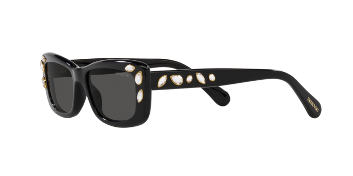 Swarovski Sunglasses SK6008 100187