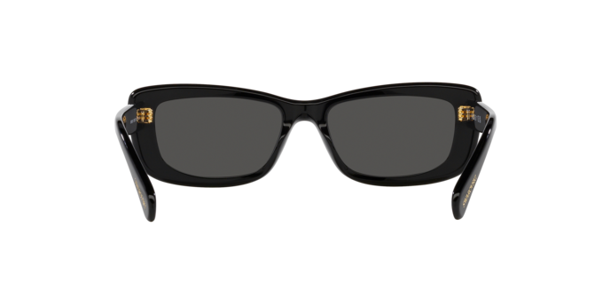 Swarovski Sunglasses SK6008 100187