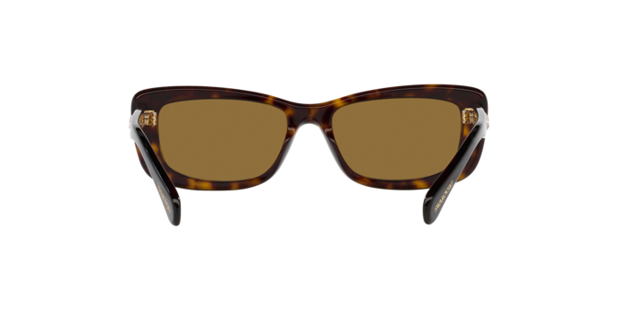 Swarovski Sunglasses SK6008 100273