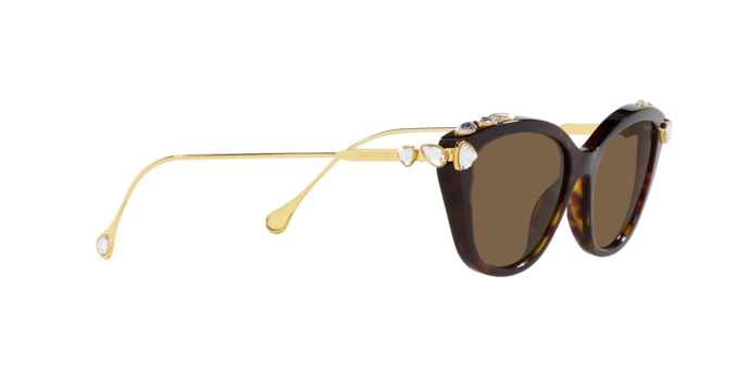 Swarovski Sunglasses SK6010 100273