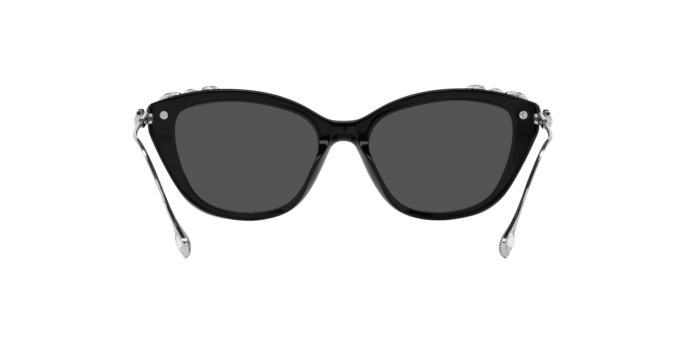 Swarovski Sunglasses SK6010 103887