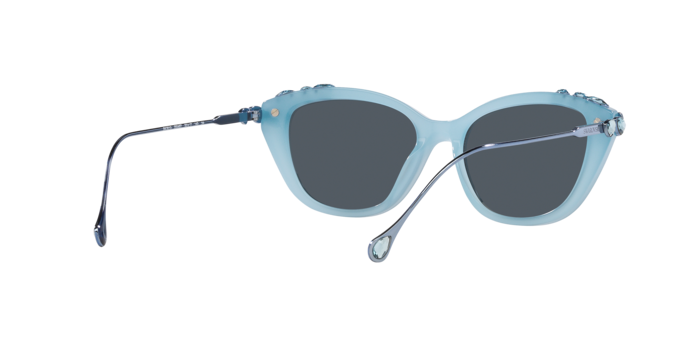 Swarovski Sunglasses SK6010 200487