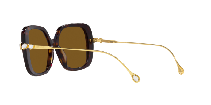 Swarovski Sunglasses SK6011 100283