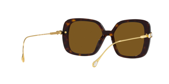 Swarovski Sunglasses SK6011 100283