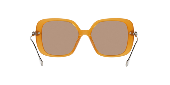 Swarovski Sunglasses SK6011 200563