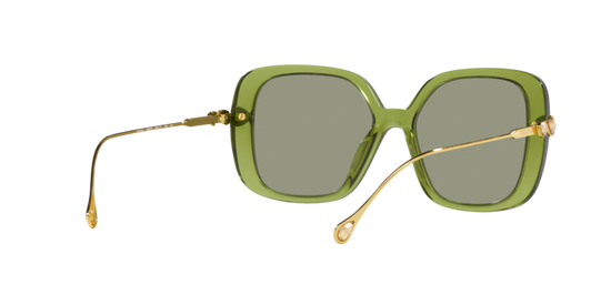 Swarovski Sunglasses SK6011 3002/2