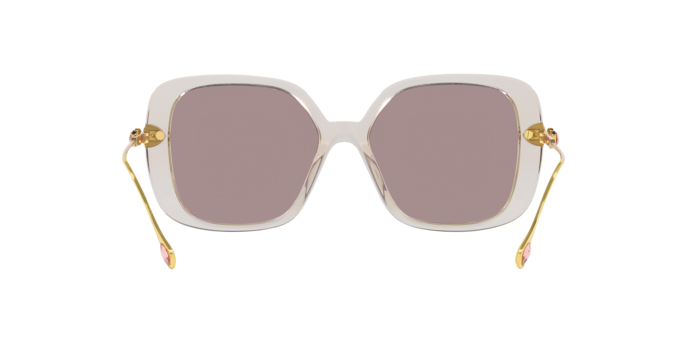 Swarovski Sunglasses SK6011 3003LA