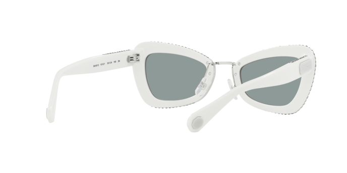Swarovski Sunglasses SK6012 1012/1