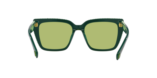 Swarovski Sunglasses SK6013 101730