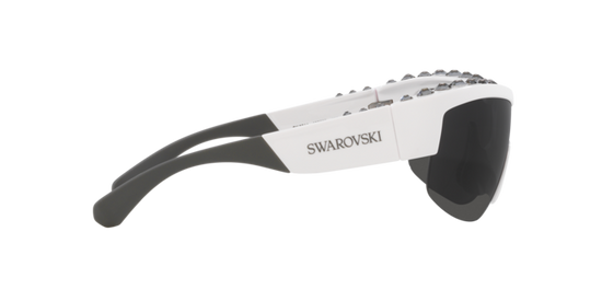 Swarovski Sunglasses SK6014 102987