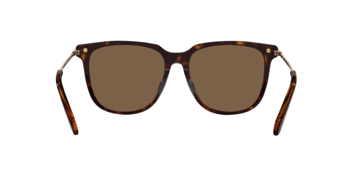 Swarovski Sunglasses SK6015D 100273
