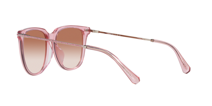 Swarovski Sunglasses SK6015D 300113