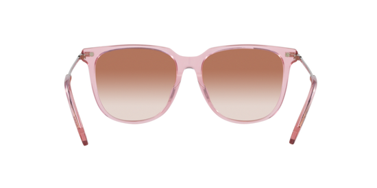 Swarovski Sunglasses SK6015D 300113