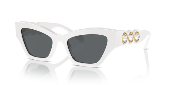 Swarovski Sunglasses SK6021 105087