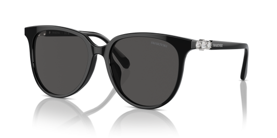 Swarovski Sunglasses SK6023D 100187