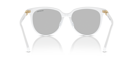 Swarovski Sunglasses SK6023D 103387