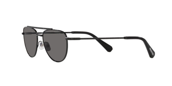 Swarovski Sunglasses SK7007 401081