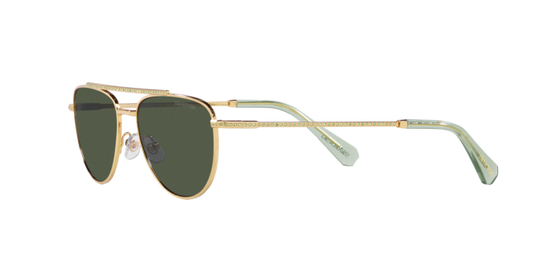 Swarovski Sunglasses SK7007 401782