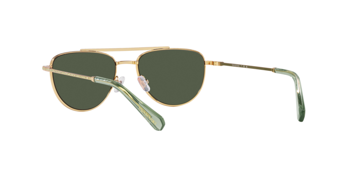 Swarovski Sunglasses SK7007 401782