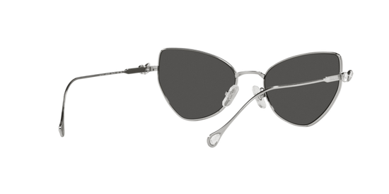 Swarovski Sunglasses SK7011 400187