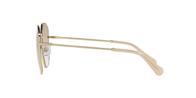 Swarovski Sunglasses SK7012D 401311