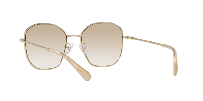 Swarovski Sunglasses SK7012D 401311