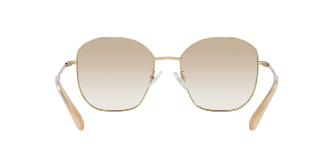 Swarovski Sunglasses SK7012D 401311