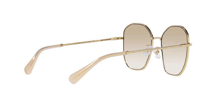 Swarovski Sunglasses SK7012D 401311