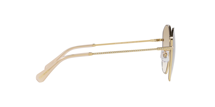 Swarovski Sunglasses SK7012D 401311