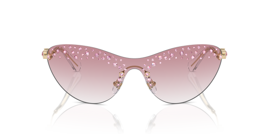 Swarovski Sunglasses SK7023 40138D
