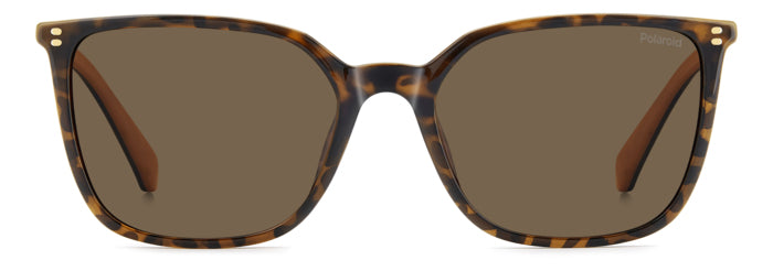 Polaroid {Product.Name} Sunglasses PLD4209/S/X 086/SP