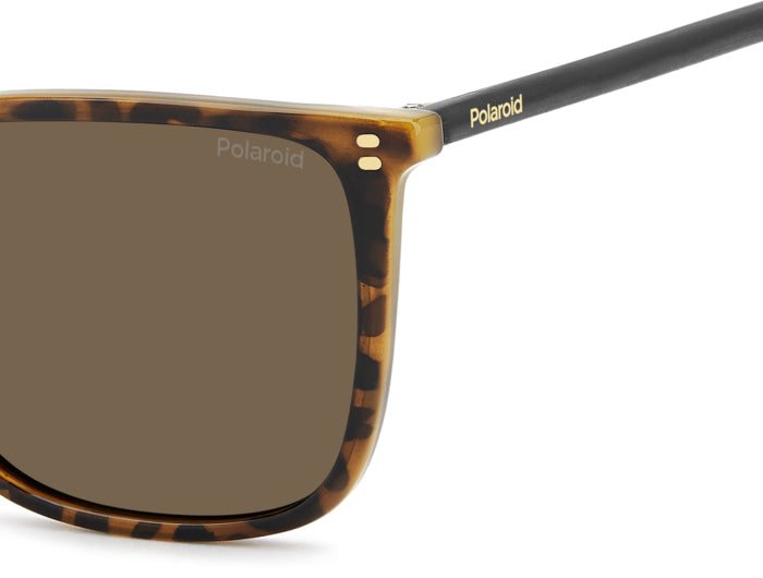 Polaroid {Product.Name} Sunglasses PLD4209/S/X 086/SP