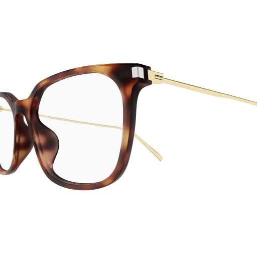 Saint Laurent Eyeglasses SL 578 006