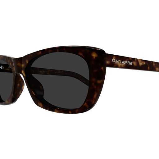 Saint Laurent Sunglasses SL 613 006