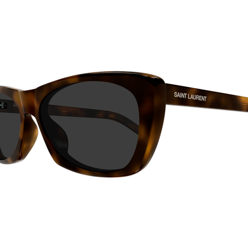 Saint Laurent Sunglasses SL 613 007