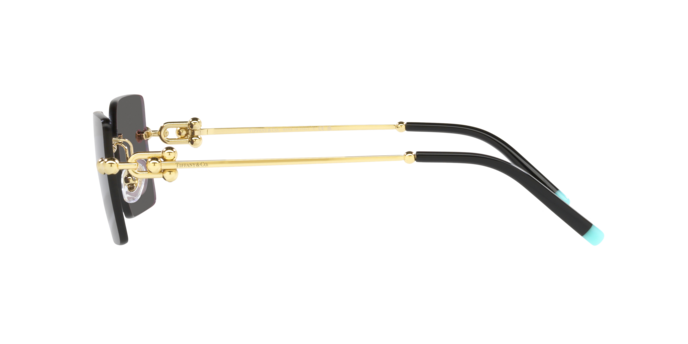 Tiffany Sunglasses TF3088 6021S4