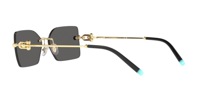 Tiffany Sunglasses TF3088 6021S4