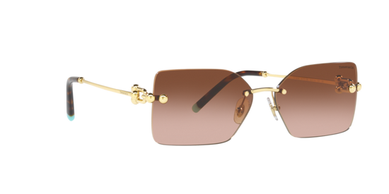 Tiffany Sunglasses TF3088 61773B