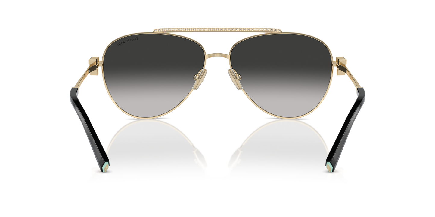 Tiffany Sunglasses TF3101B 60213C