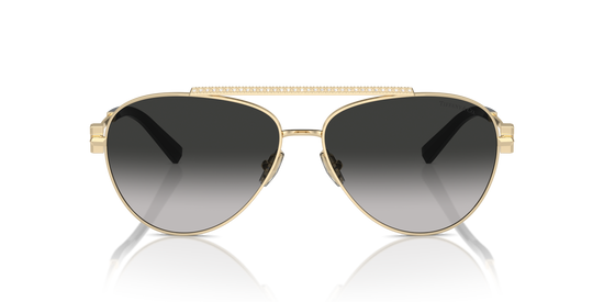 Tiffany Sunglasses TF3101B 60213C