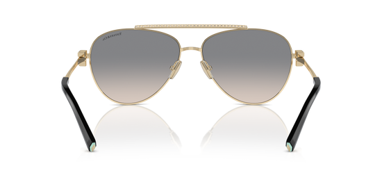 Tiffany Sunglasses TF3101B 61791U