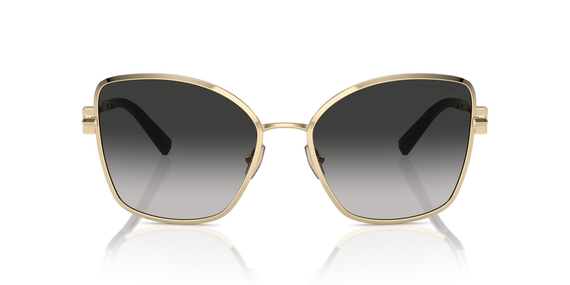 Tiffany Sunglasses TF3102B 60213C