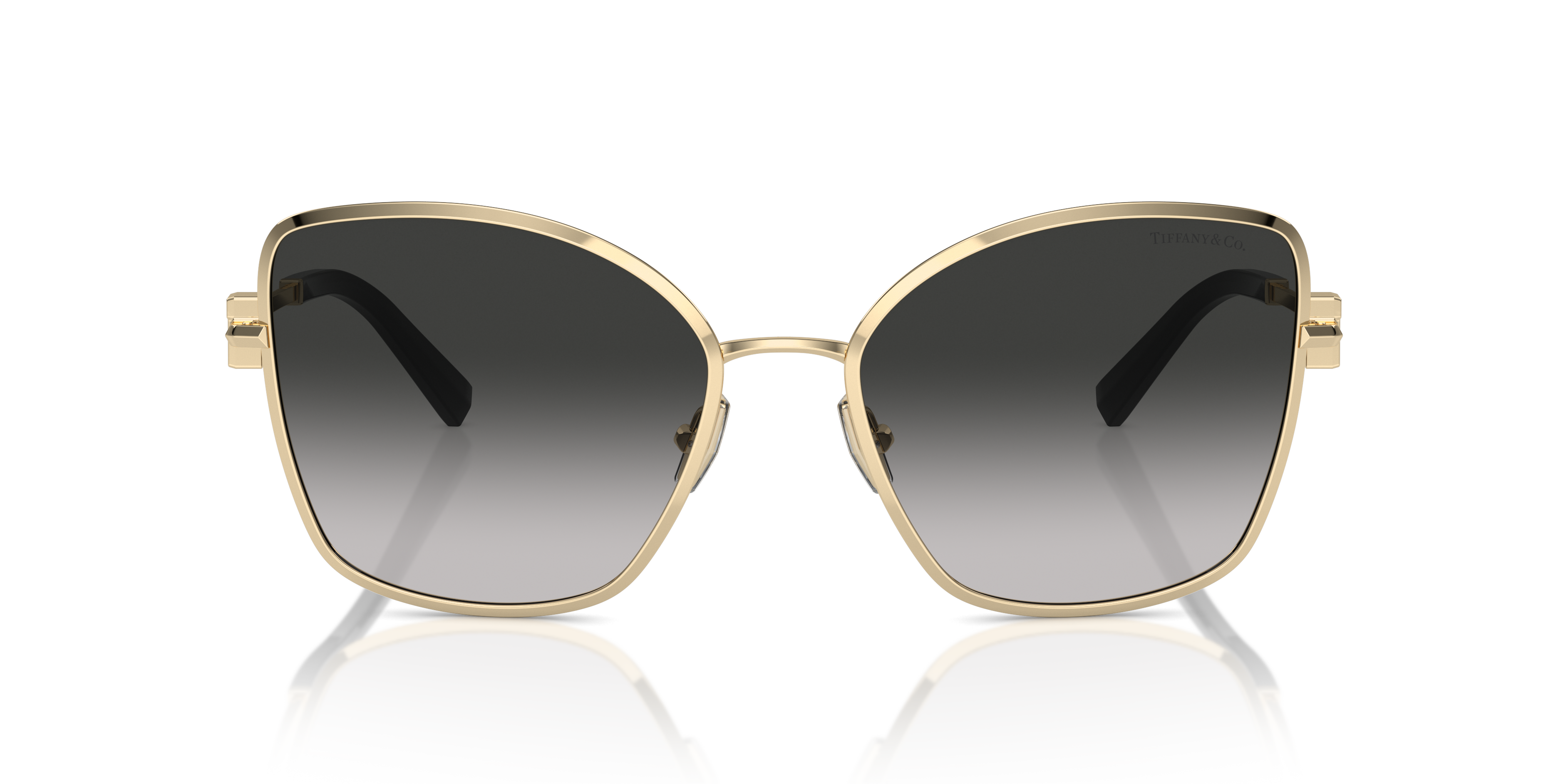 Tiffany Sunglasses TF3102B 60213C