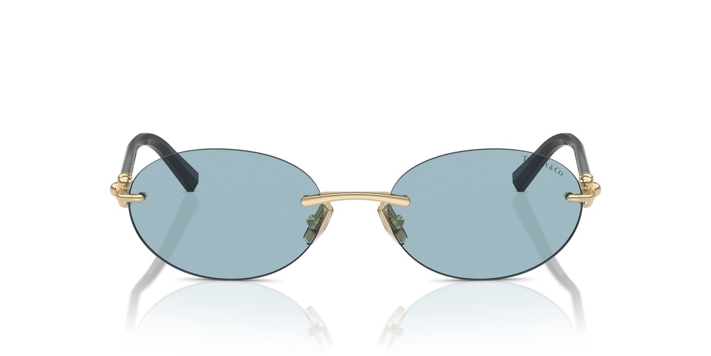 Tiffany Sunglasses TF3104D 602180