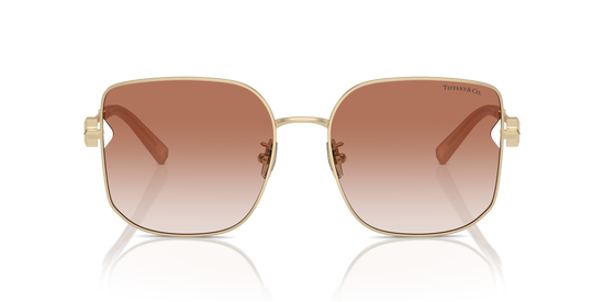 Tiffany Sunglasses TF3105D 616113