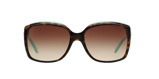 Tiffany sales sunglasses tf4076