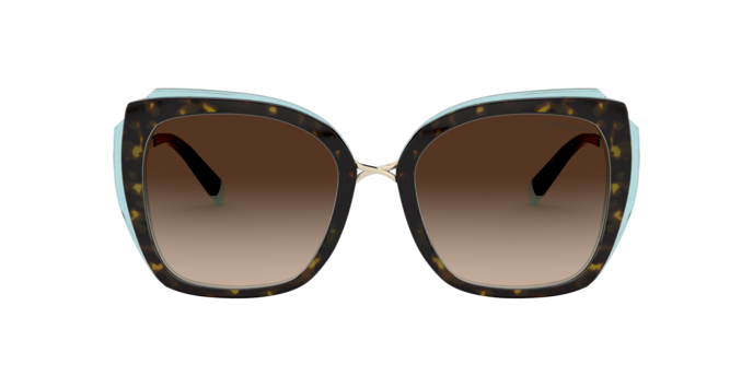 Tiffany Sunglasses TF4160 82863B