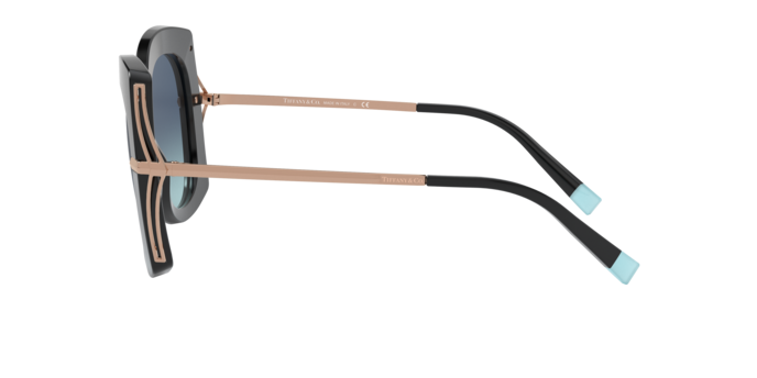 Tiffany Sunglasses TF4169 80019S